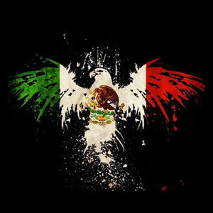 Meet your Posher, Mexico2020